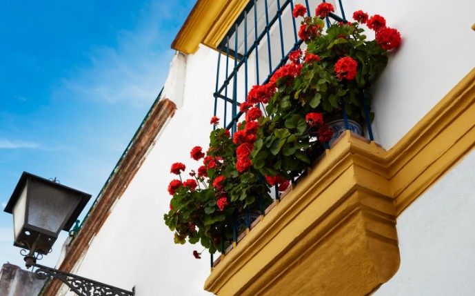 Fachada andaluza rehabilitada con macetas en balcón - Granada