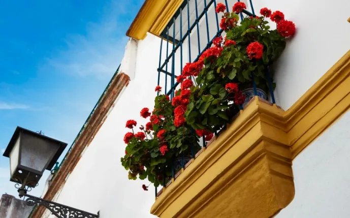 Cocina exterior con barbacoa y horno de leña en una terraza de la Vega de Granada